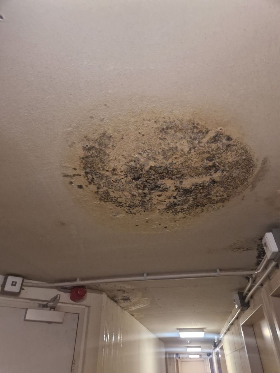 Vochtvlek met schimmel op een plafond in een gang als gevolg van een lekkage